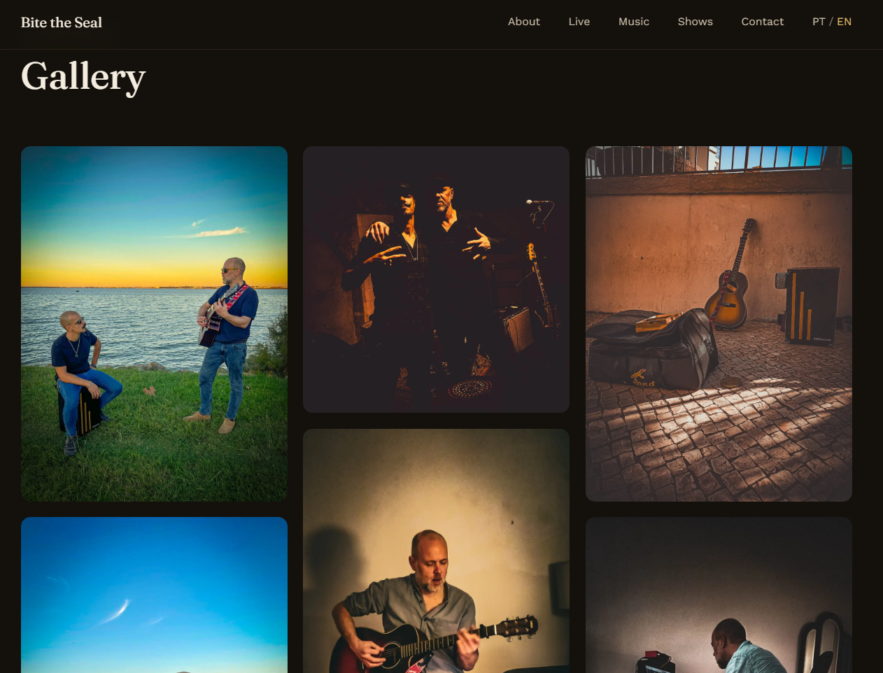 Secção de galeria do site da Bite the Seal, com uma grelha de fotografias da dupla
